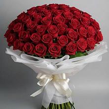 101 Красная роза Блэк Мэджик в Первомайской Букет 101 Красная роза Блэк Мэджик в Первомайской