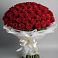 101 Красная роза Блэк Мэджик в Первомайской Букет 101 Красная роза Блэк Мэджик в Первомайской
