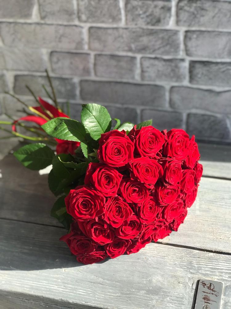 Красные розы Фридом в Первомайской Букет Красные розы Фридом в Первомайской