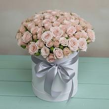 Композиция утонченная красота в Первомайской Цветочная композиция из Розы в шляпной коробке в Первомайской