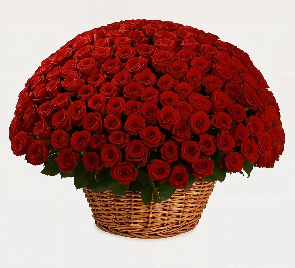 251 Премиум красная роза в Первомайской Премиум букет из: Розы в Первомайской