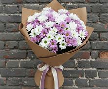 Букет грани совершенства в Первомайской Букет цветов из:  Хризантемы в Первомайской