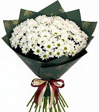 Букет море ромашек в Первомайской Букет цветов из:  Хризантемы в Первомайской