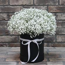 Композиция коробка гипсофил в Первомайской Цветочная композиция из Гипсофила в шляпной коробке в Первомайской