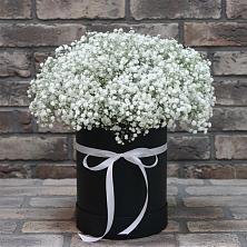 Композиция коробка гипсофил в Первомайской Цветочная композиция из Гипсофила в шляпной коробке в Первомайской