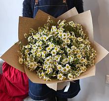 Букет цветов из:  Ромашки #REPLACE_PRED# Первомайской