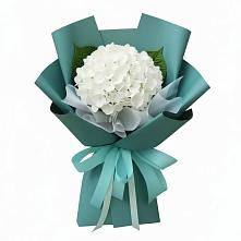 Букет Лёгкое облако в Первомайской Букет цветов из:  Гортензия в Первомайской